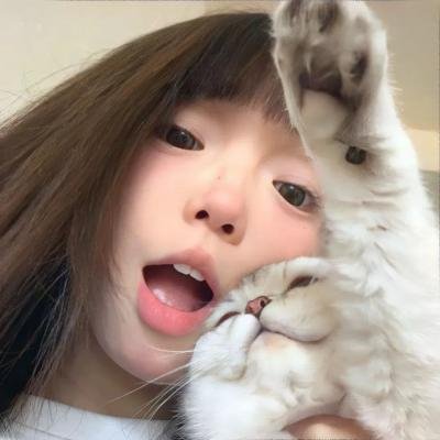玩伴猫耳娘